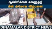 தடை செய்யப்பட்ட ஆப்பிக்கன் கெளுத்தி மீன் விற்பனை ஜோர்|Banned sale of African catfish| Madurai