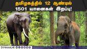 யானைகள் இறப்பு குறித்த ஷாக் ரிப்போர்ட்! | Elephants Killed | Elephant Hunting | TN Forest Department