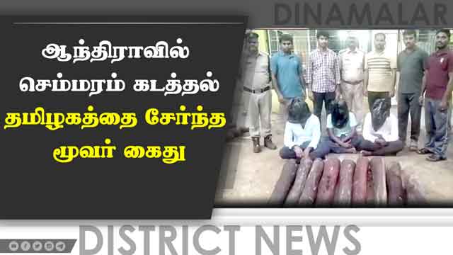 ஆந்திராவில் ₹12 லட்சம் செம்மரம், 2 காருடன் தமிழகத்தை சேர்ந்த 3 பேர் கைது | Red sandalwood smuggling