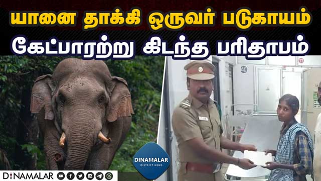 காட்டு யானைகளை கும்கி உதவியுடன் விரட்ட கோரிக்கை Coimbatore  Forest Department   Elephant attack