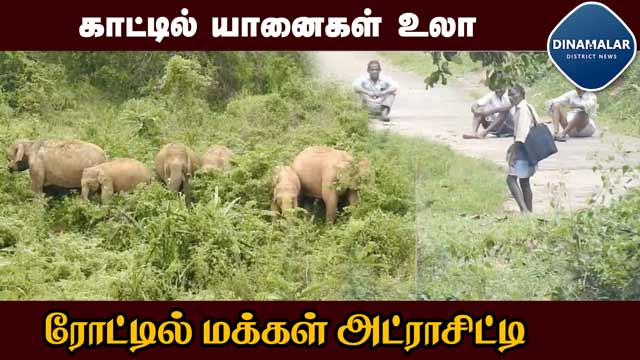 வன விலங்குகளை தொந்தரவு செய்யும் கிராம மக்கள் | Forest Department | Funny people | Wild elephants