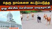 ராயபுரம் சம்பவத்தால் களம் இறங்கிய அதிகாரிகள் | Chennai Corporation | Rabies | Rabies vaccine