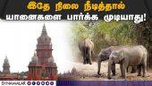 யானைகள் பாதுகாப்பு குறித்து ஐகோர்ட் நீதிபதிகள் வேதனை | Loss of Elephants | High Court | TN Govt