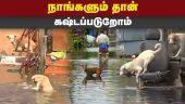 வெள்ளத்தில் சிக்கி தத்தளிக்கும் நாய்கள் | Chennai Rain | Chennai Flood | Street Dogs