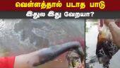 தேங்கியிருக்கும் மழைநீரில் கலந்த எண்ணெய் கழிவுகள் | Chennai Rain | Oil | Buckingham Canal