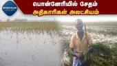 அதிகாரிகள் ஆய்வு செய்யவில்லை என வேதனை |Rain Damage officials did not inspect farmers suffer