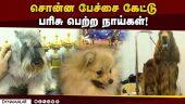 சென்னையில் 2நாள் கண்காட்சி: 60 வகையான 500 நாய்கள் கலக்கல் | Madras Canine Club | Dog Show