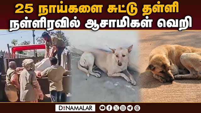 காரில் வந்த ஆசாமிகள்; | தெலுங்கானாவில் பரபரப்பு -20 to 25 dogs Gunned Down Ponnakal | Telangana