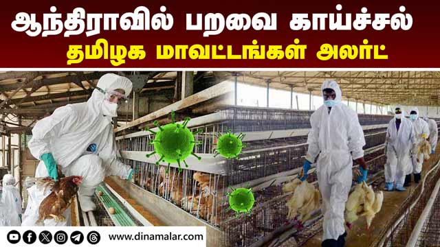 எல்லையை ஒட்டியுள்ள 5 மாவட்டங்கள் உஷார் Bird Flu | Bird Flu in Nellore