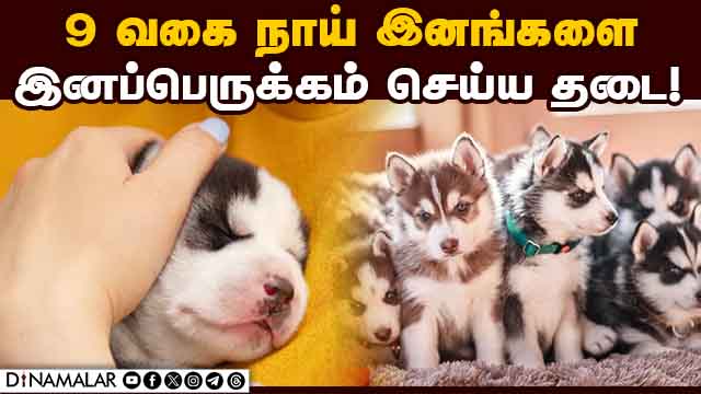 நாய் வளர்ப்பு கொள்கையில் புதிய கட்டுப்பாடு TamilNadu Dog Breeding Policy | 9 Dog Breeding Ban in TN
