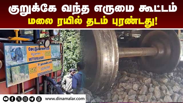 மலை ரயில் மோதி எருமை இறந்தது! Nilgiris Hill Train | Ooty | Accident