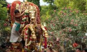 கோவிந்தா கோஷத்துடன் வைகை ஆற்றில் இறங்கிய வரதராஜ 