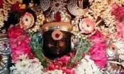 விளமல் பதஞ்சலி மனோகரர் கோயிலில் ஆனி வெள்ளி சிறப்பு 
